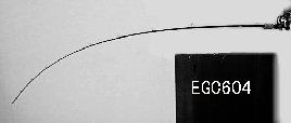 EGC604